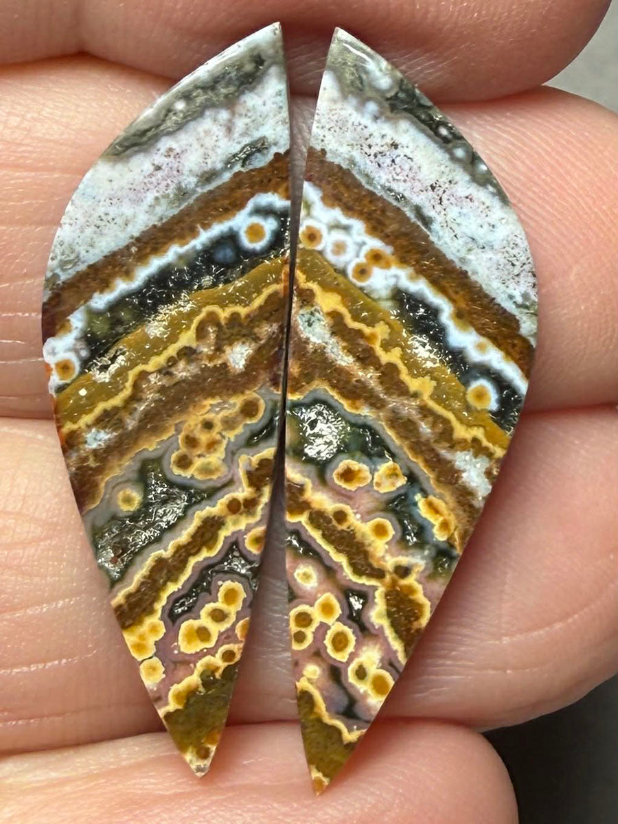 Freeform 32x10mm Ocean Jasper Cabochon Pair 25
