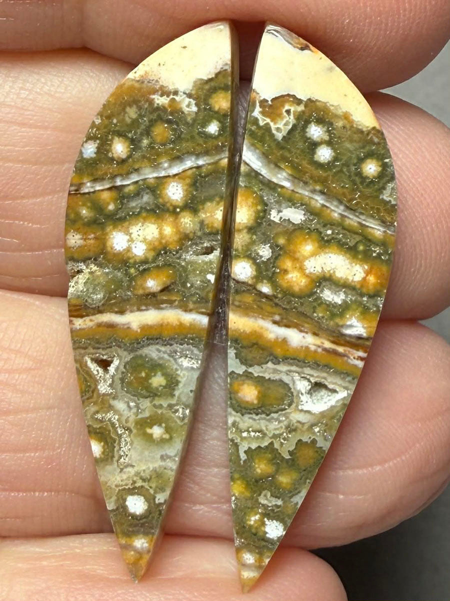 Freeform 34x10mm Ocean Jasper Cabochon Pair 28
