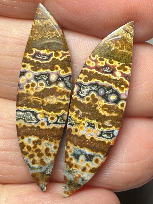 Freeform 34x10mm Ocean Jasper Cabochon Pair 32