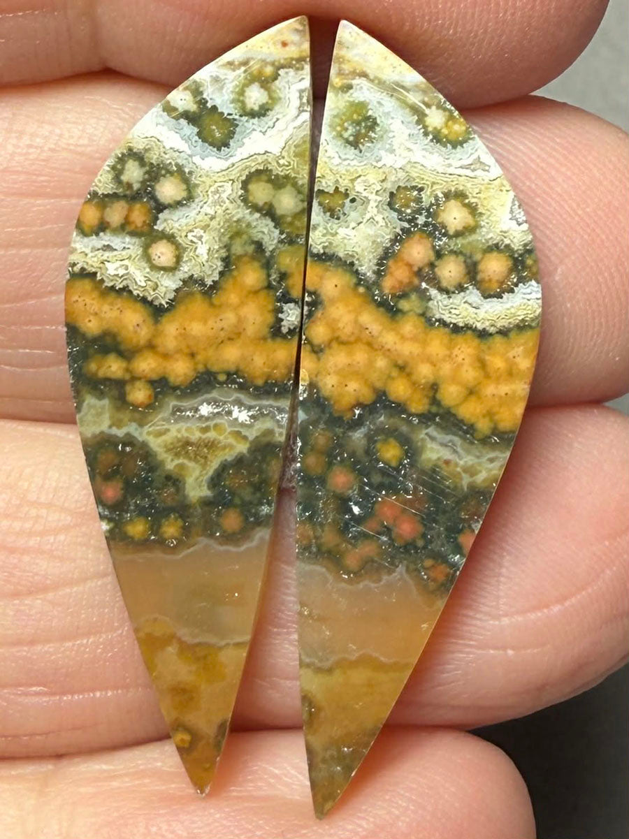 Freeform 35x10mm Ocean Jasper Cabochon Pair 34