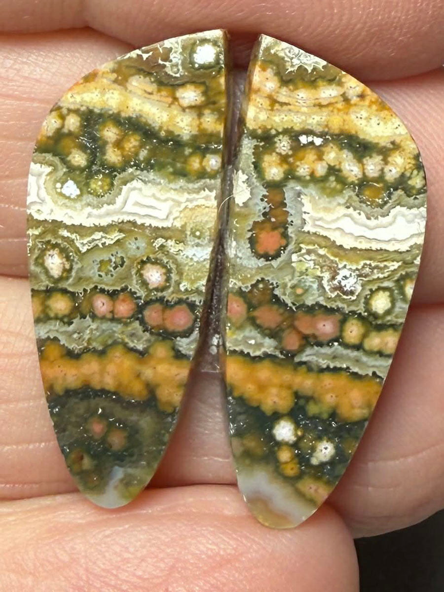 Freeform 27x10mm Ocean Jasper Cabochon Pair 37