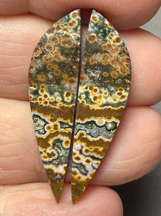 Freeform 34x9mm Ocean Jasper Cabochon Pair 39