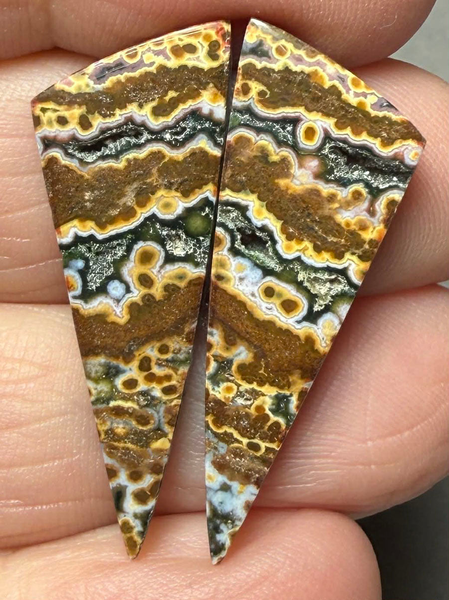 Freeform 32x11mm Ocean Jasper Cabochon Pair 41