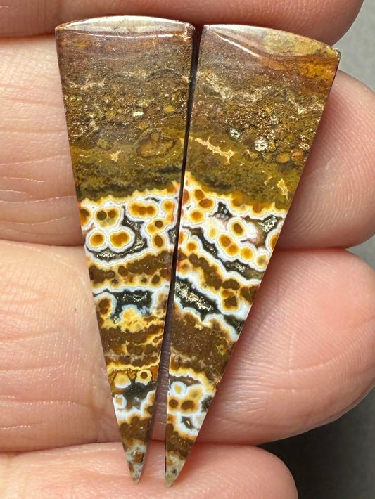 Freeform 35x10mm Ocean Jasper Cabochon Pair 46