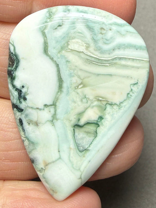 Teardrop 42x30mm Green Lace Jasper Cabochon 31