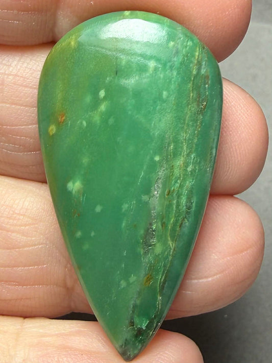 Teardrop 41x22mm Gary Green Jasper Cabochon 42