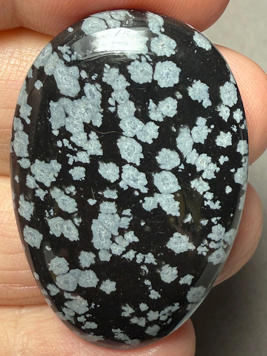 Teardrop 41x27mm Snowflake Obsidian Cabochon 51