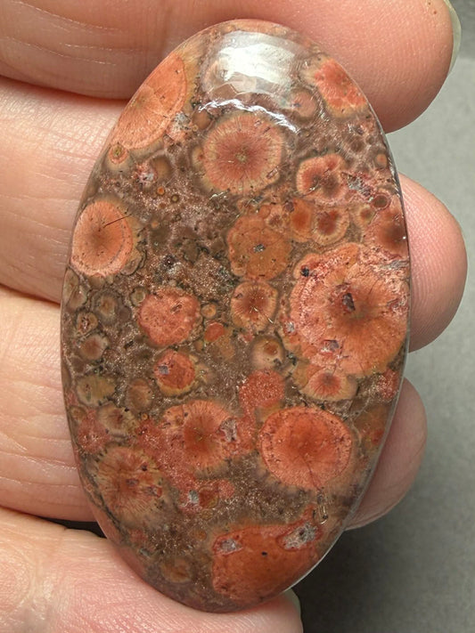 Oval 48x28mm Poppy Jasper Cabochon 28