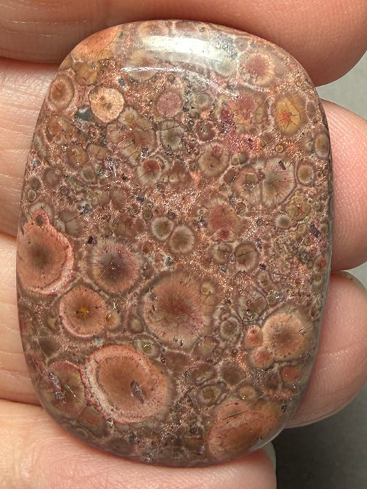 Rectangle 38x27mm Poppy Jasper Cabochon 30