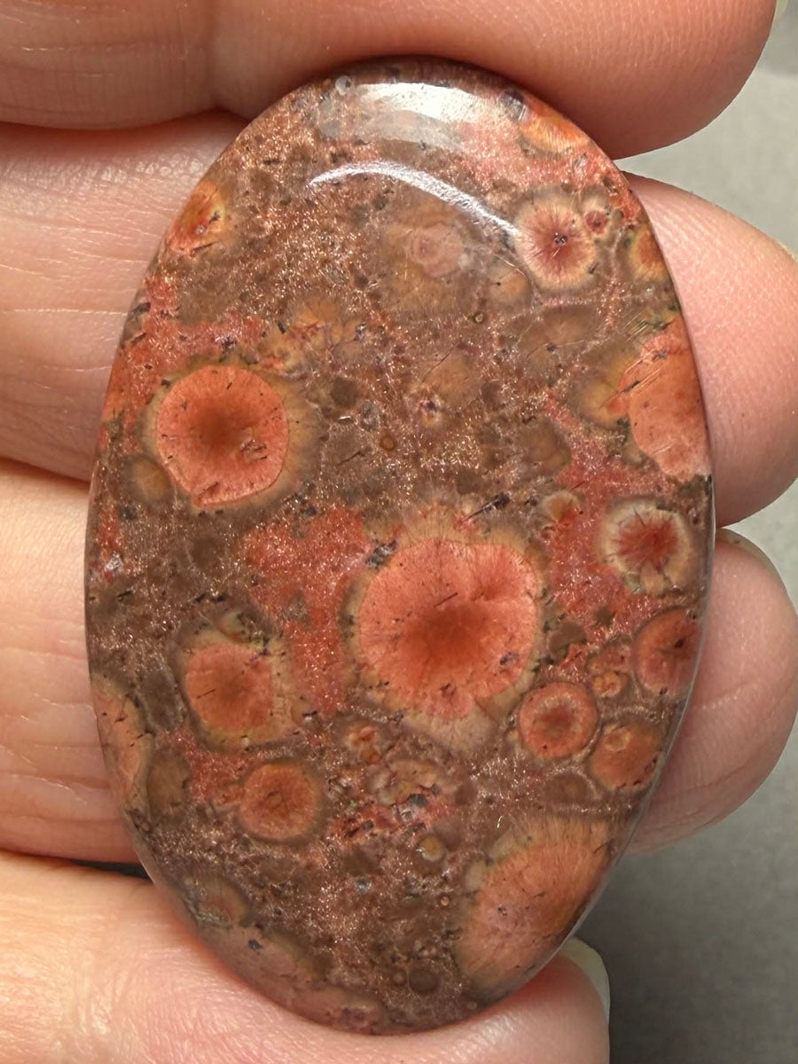 Oval 42x26mm Poppy Jasper Cabochon 31