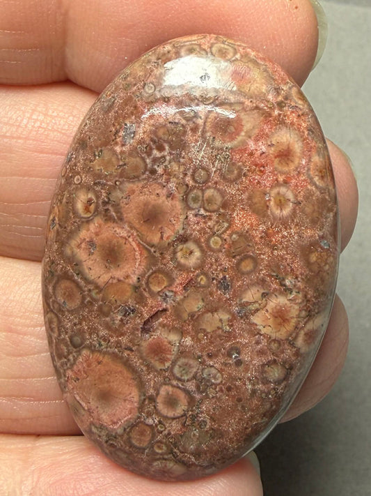 Oval 41x27mm Poppy Jasper Cabochon 33