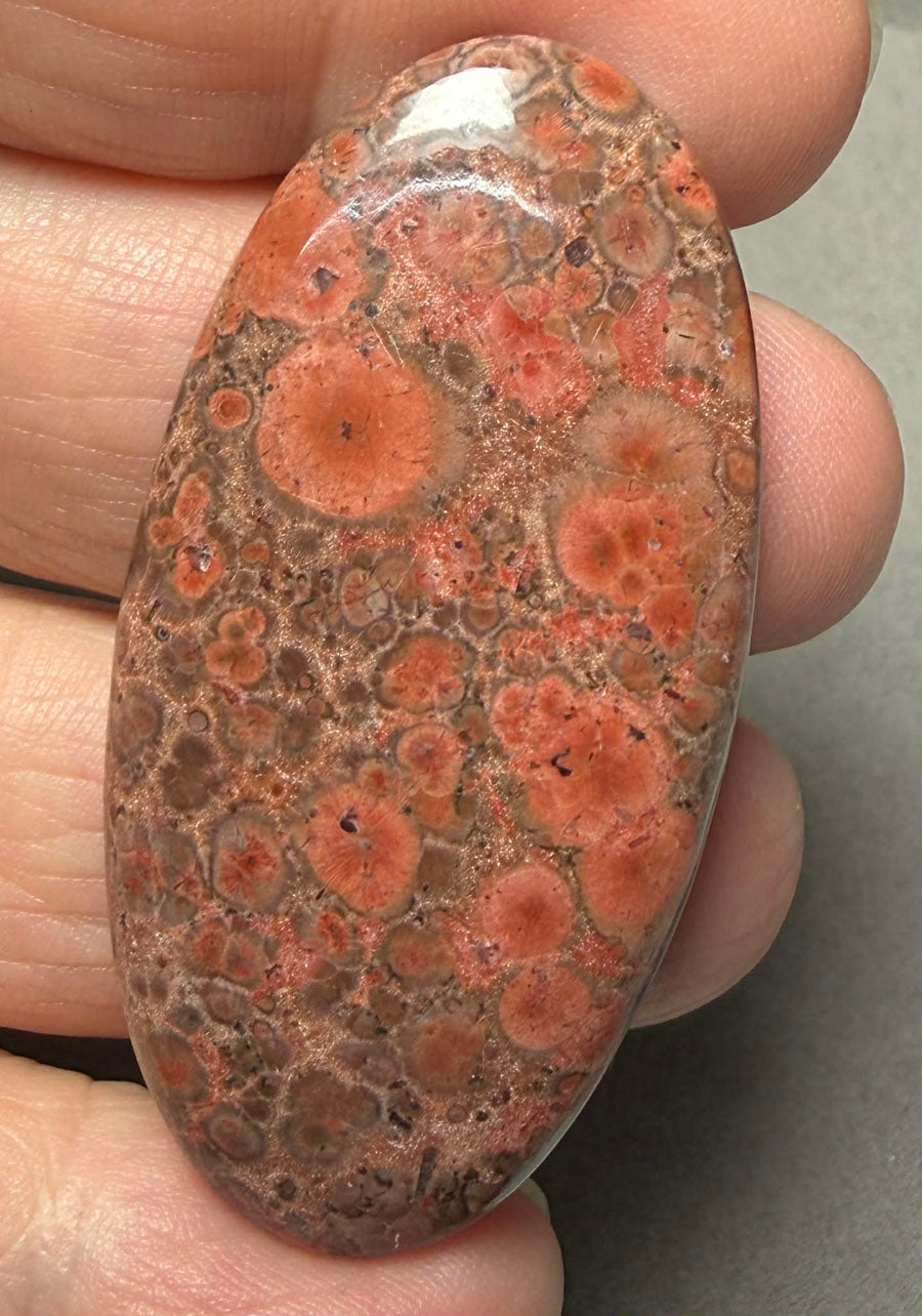 Oval 51x25mm Poppy Jasper Cabochon 36