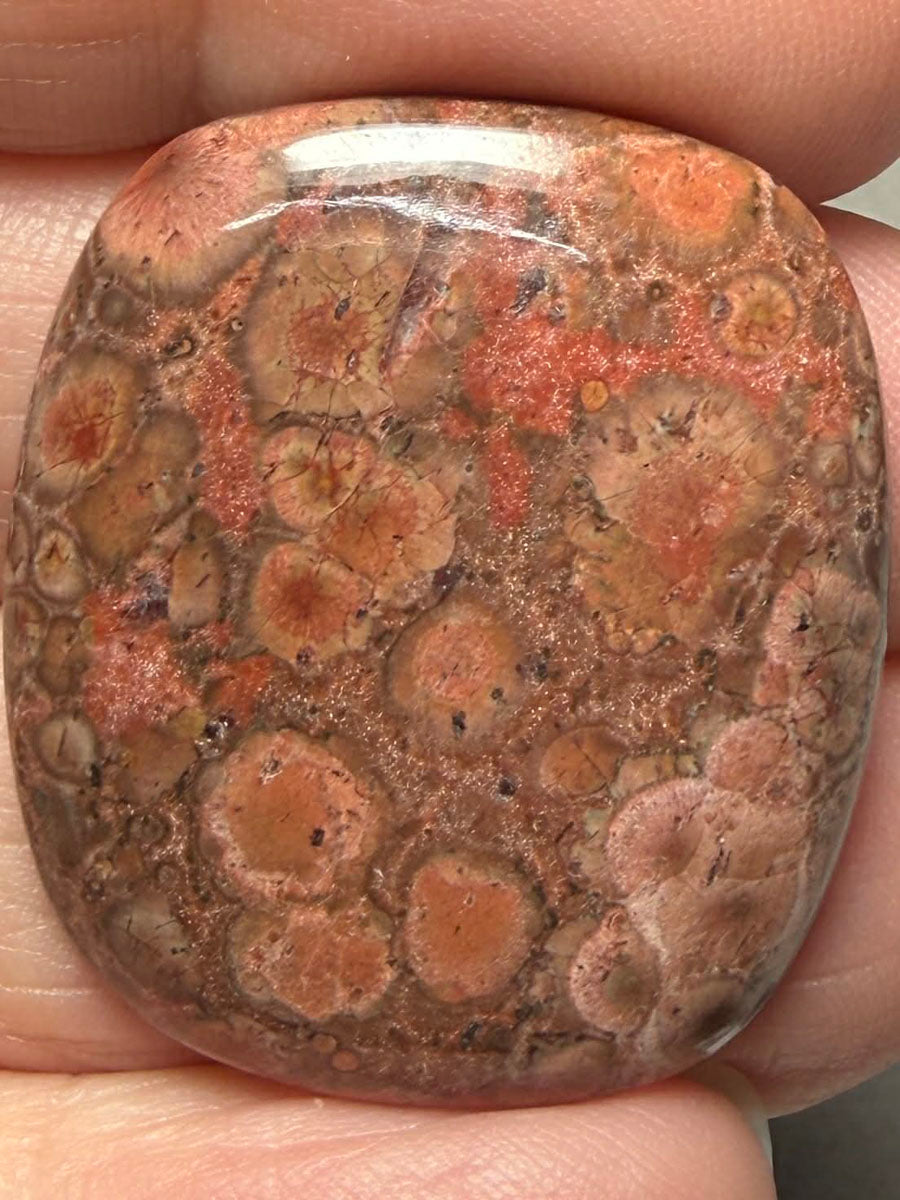 Rectangle 31x27mm Poppy Jasper Cabochon 37