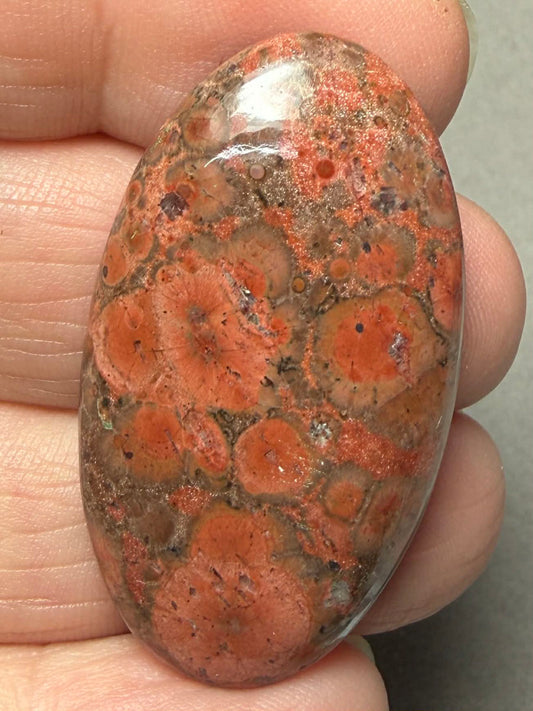 Oval 40x23mm Poppy Jasper Cabochon 38