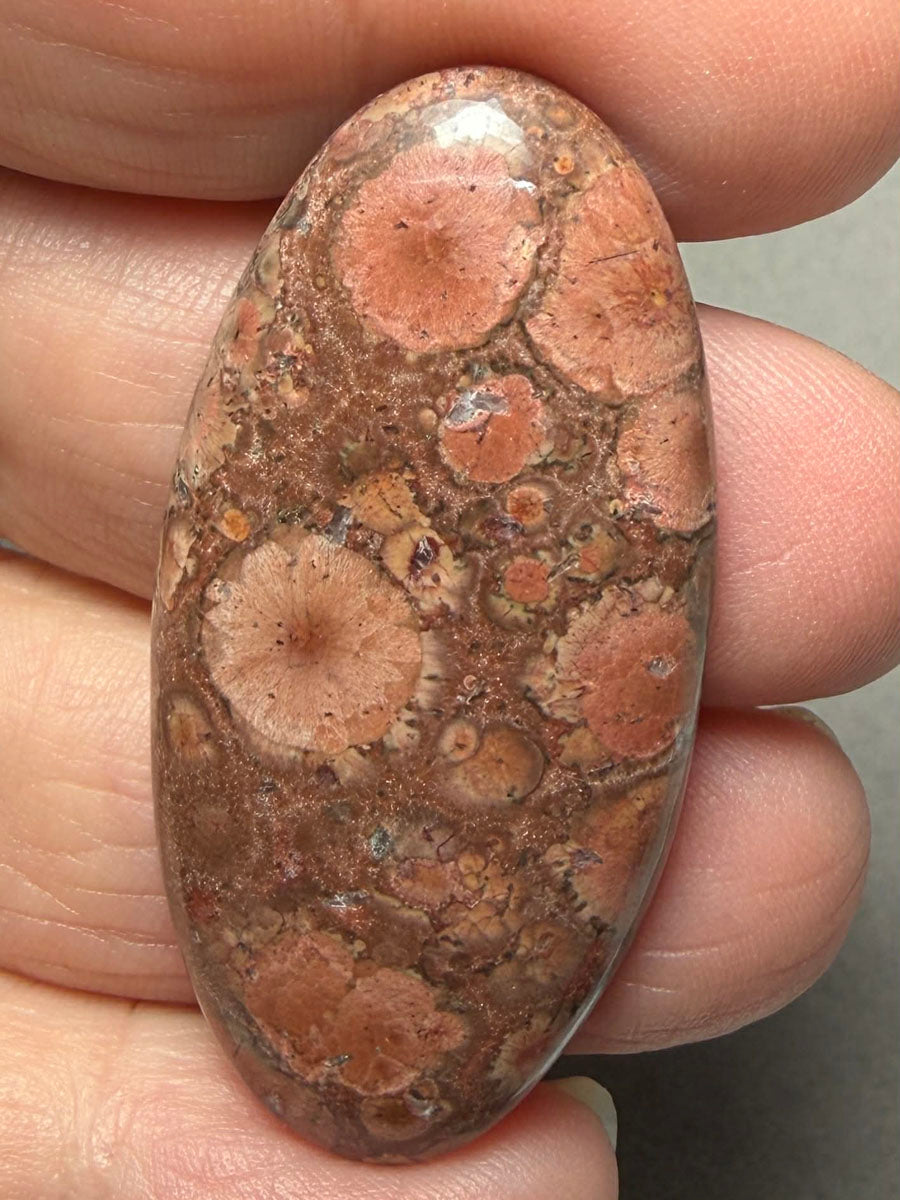 Oval 45x23mm Poppy Jasper Cabochon 39