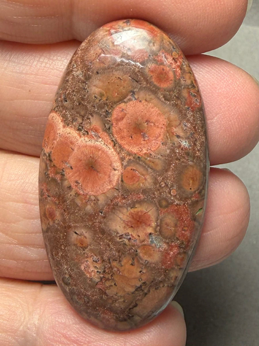 Oval 44x23mm Poppy Jasper Cabochon 42