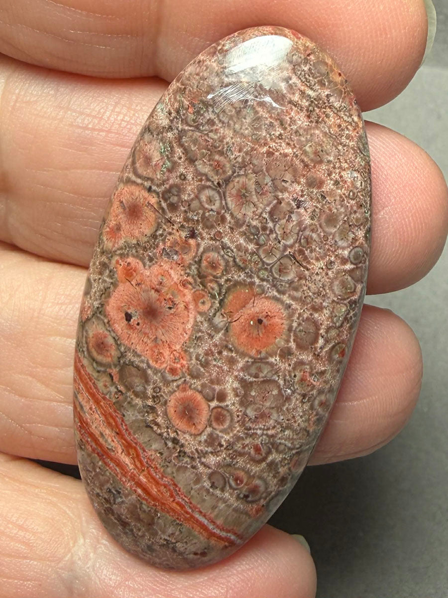 Oval 49x24mm Poppy Jasper Cabochon 43