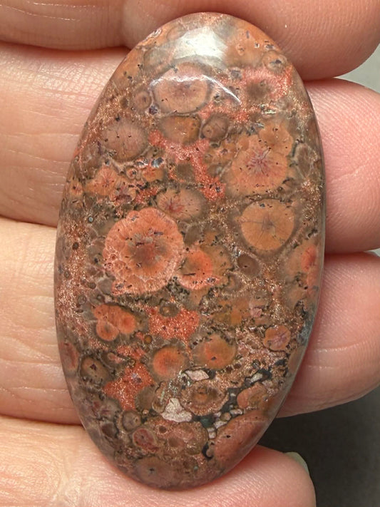 Oval 42x23mm Poppy Jasper Cabochon 44