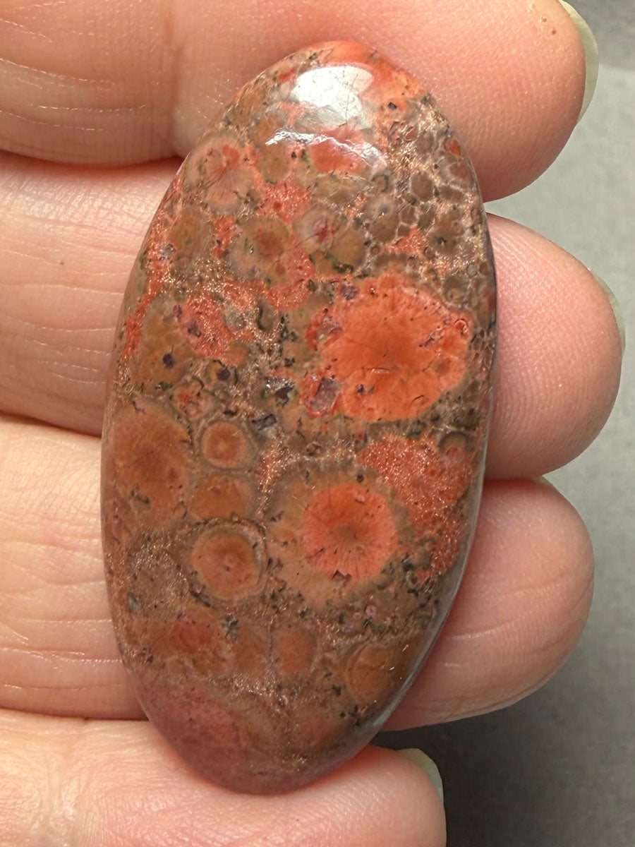 Oval 43x22mm Poppy Jasper Cabochon 46