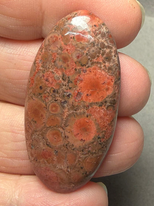 Oval 43x22mm Poppy Jasper Cabochon 46