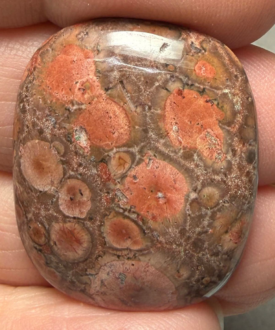 Rectangle 30x24mm Poppy Jasper Cabochon 48