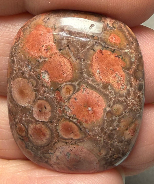 Rectangle 30x24mm Poppy Jasper Cabochon 48