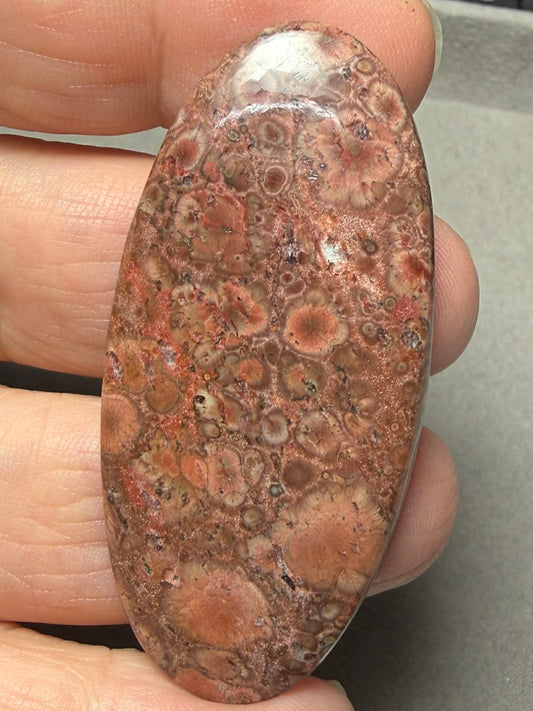 Oval 56x26mm Poppy Jasper Cabochon 50