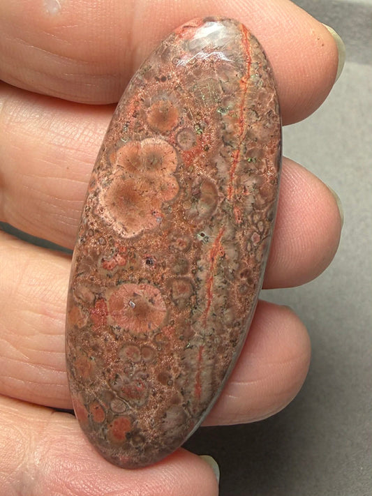 Oval 54x22mm Poppy Jasper Cabochon 52