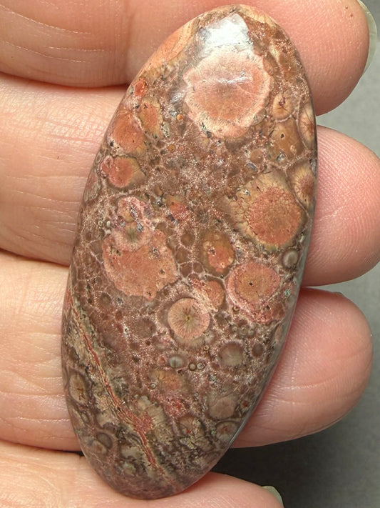 Oval 49x22mm Poppy Jasper Cabochon 53