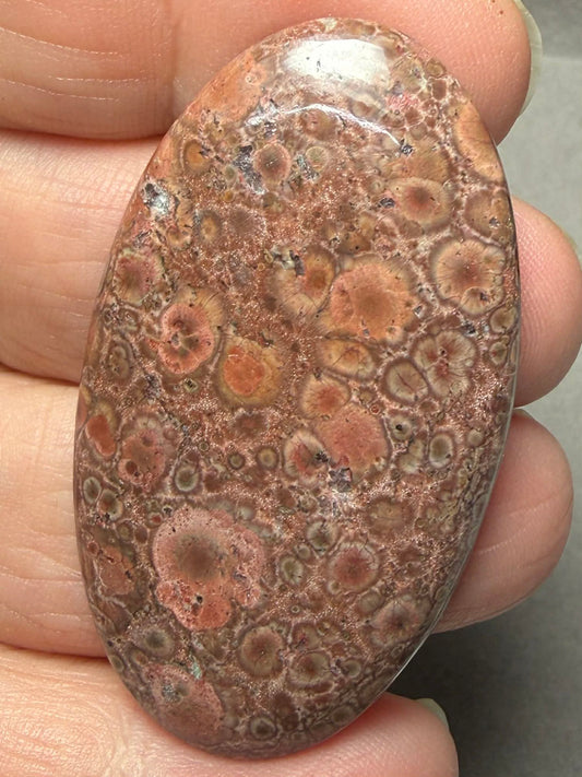 Oval 49x28mm Poppy Jasper Cabochon 54