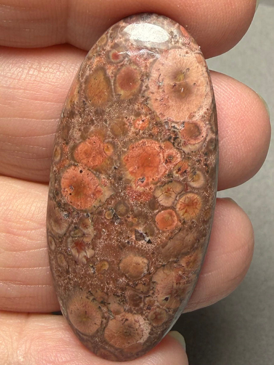 Oval 44x21mm Poppy Jasper Cabochon 55