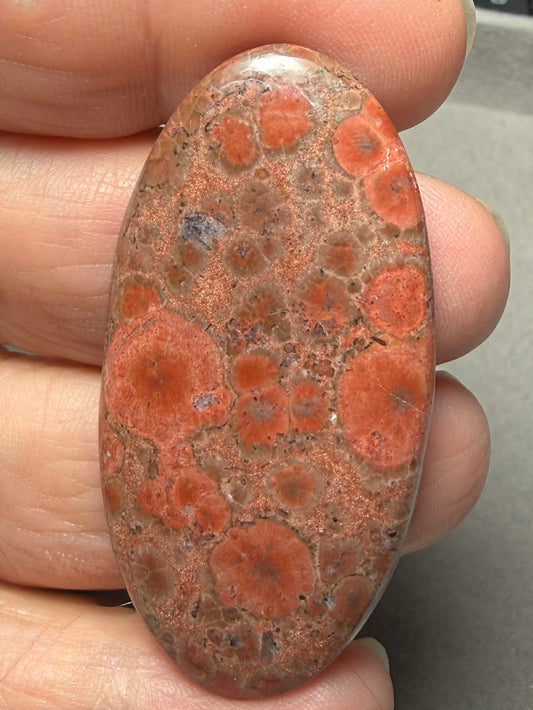 Oval 50x25mm Poppy Jasper Cabochon 56