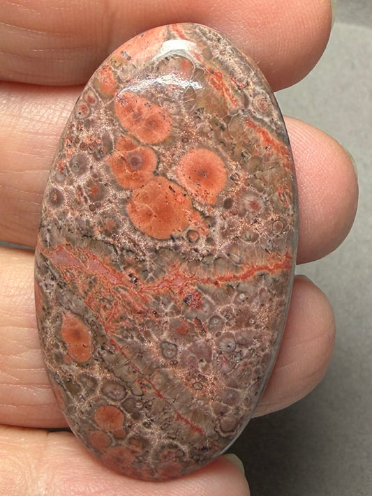 Oval 47x26mm Poppy Jasper Cabochon 57