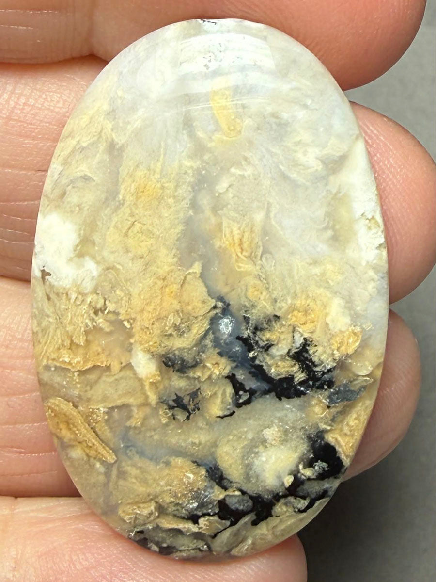 Oval 39x25mm Dendritic Tiger Agate Cabochon 36