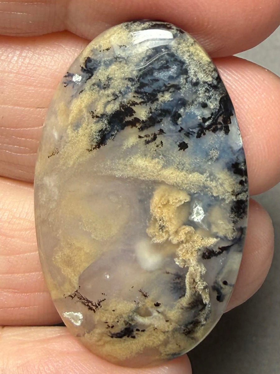 Oval 38x23mm Dendritic Tiger Agate Cabochon 38