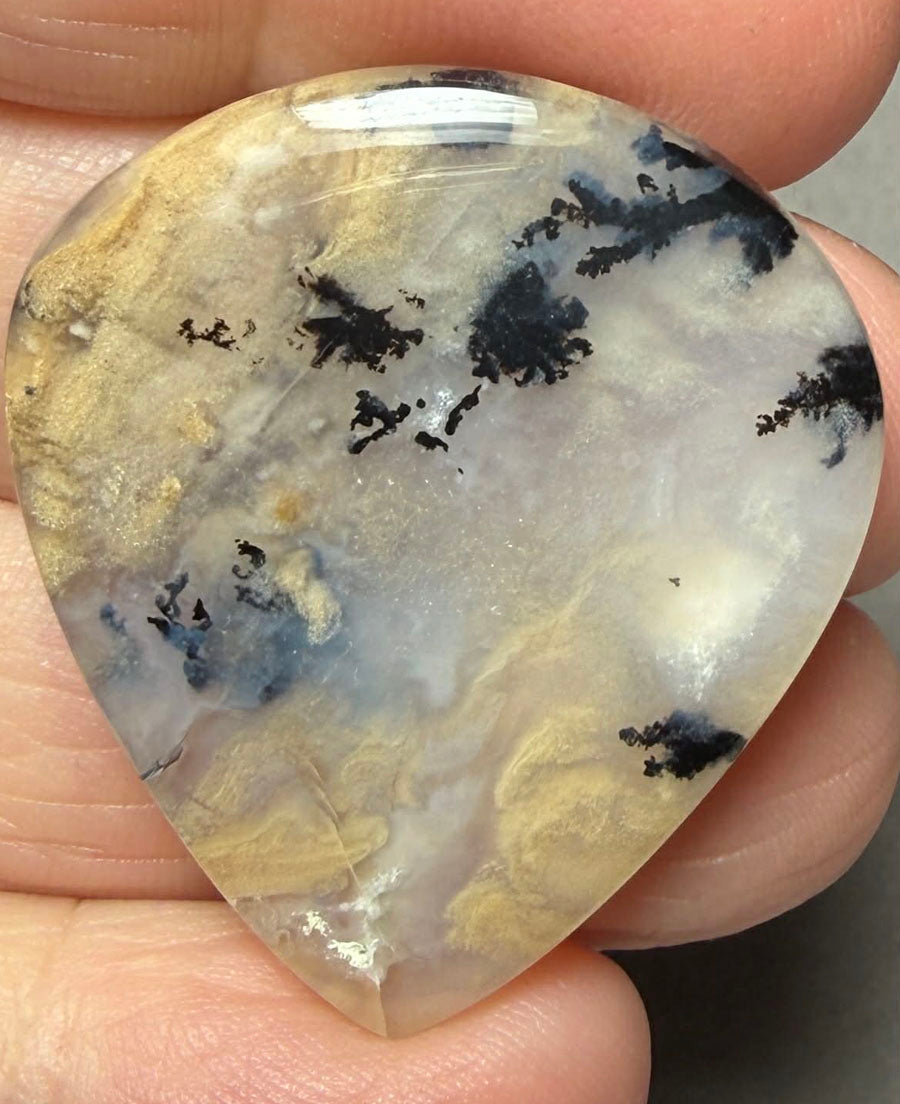 Teardrop 35x31mm Dendritic Tiger Agate Cabochon 41