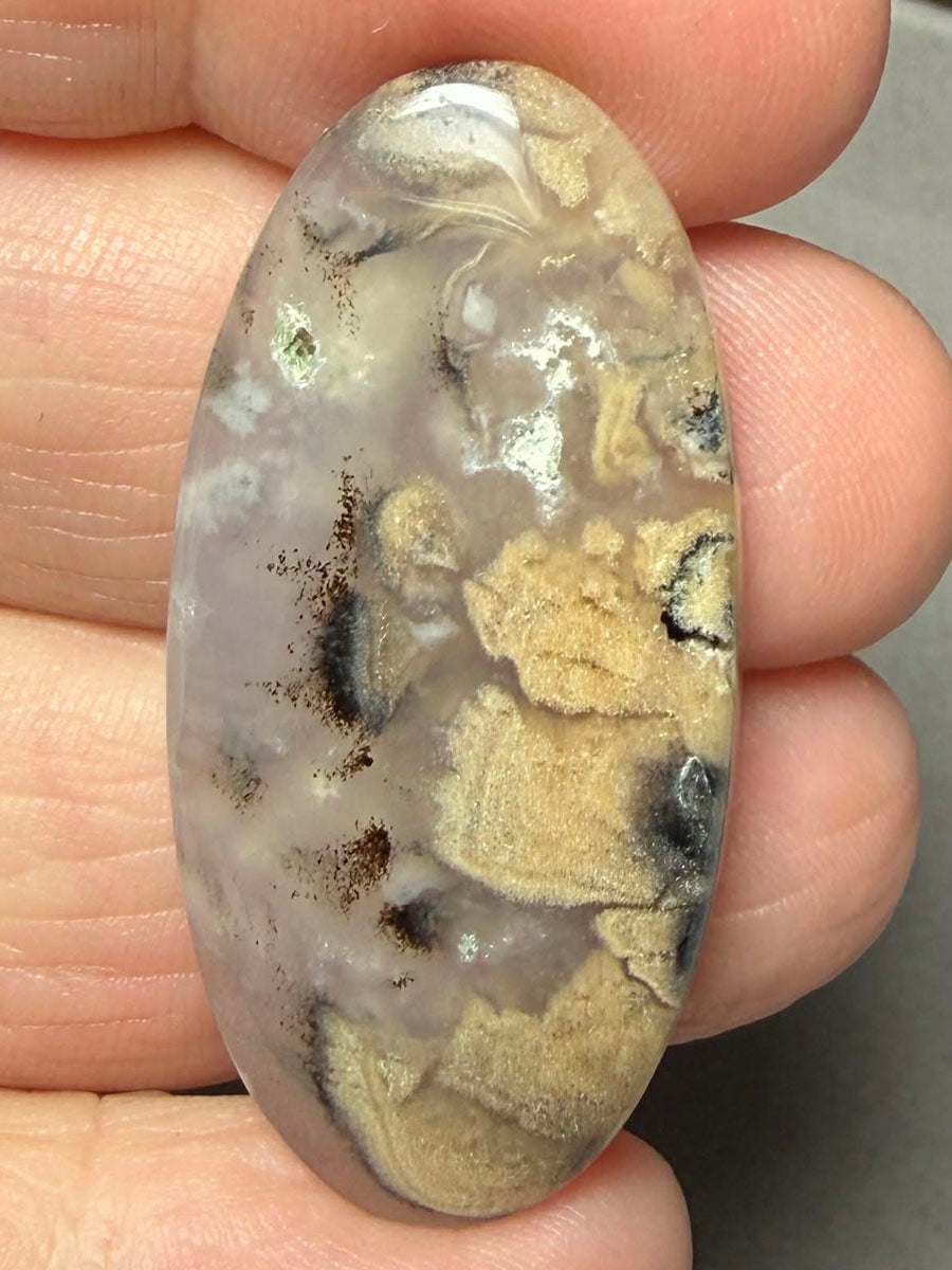 Oval 41x19mm Dendritic Tiger Agate Cabochon 42