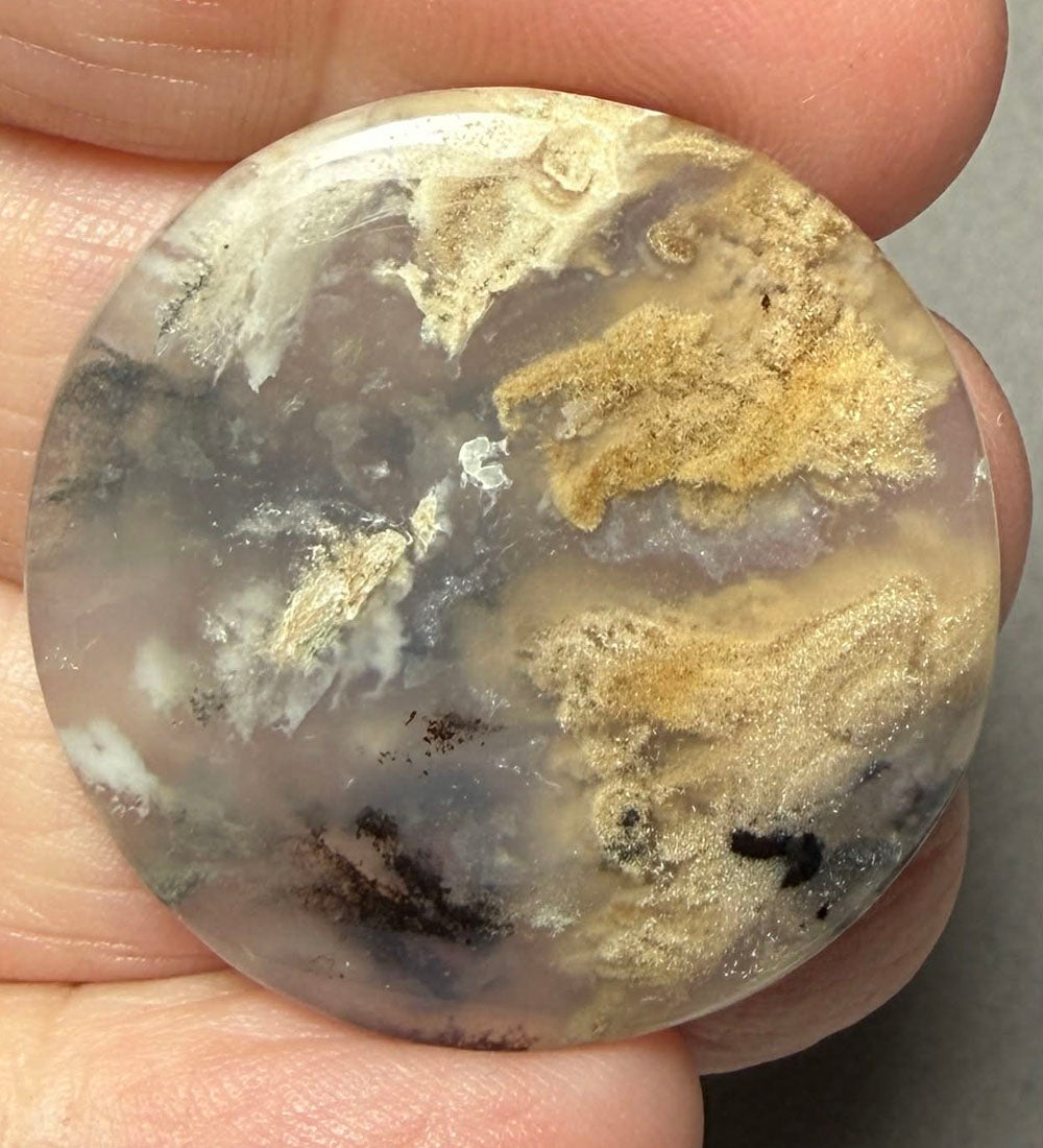 Round 33x33mm Dendritic Tiger Agate Cabochon 43