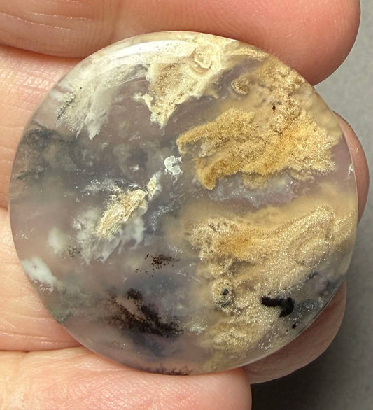 Round 33x33mm Dendritic Tiger Agate Cabochon 43