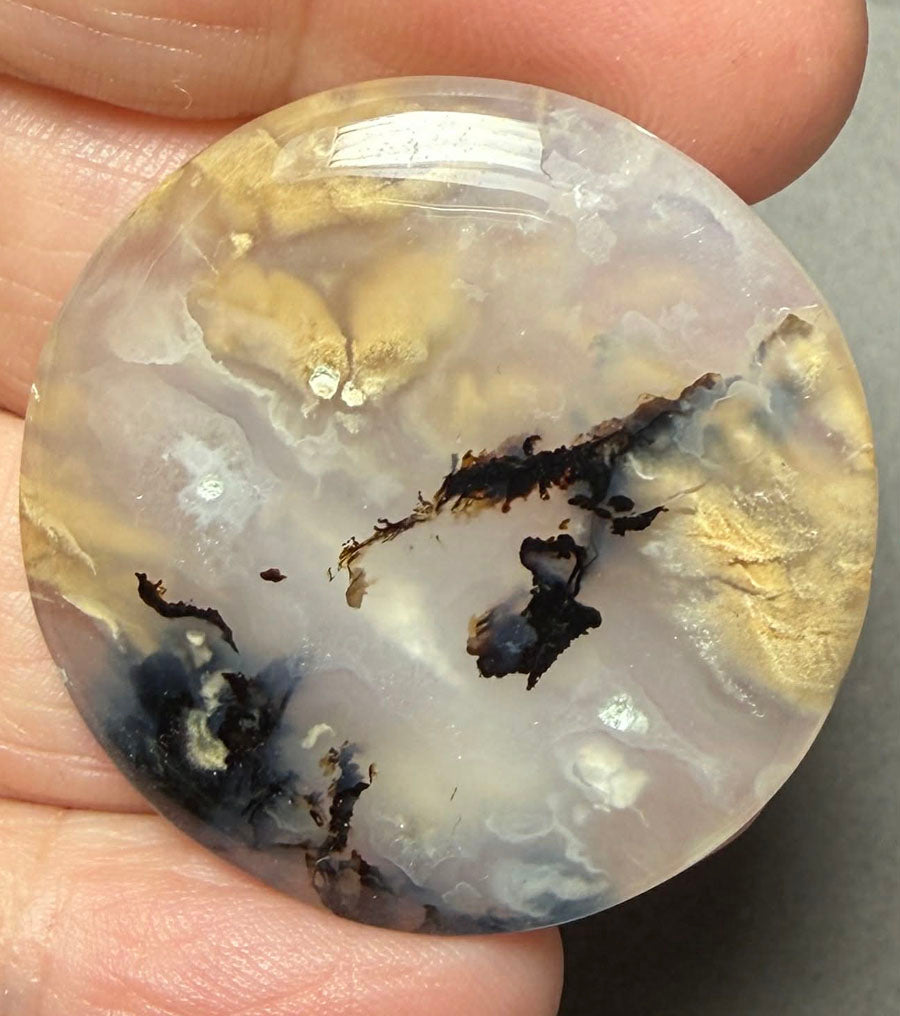 Round 35x35mm Dendritic Tiger Agate Cabochon 44