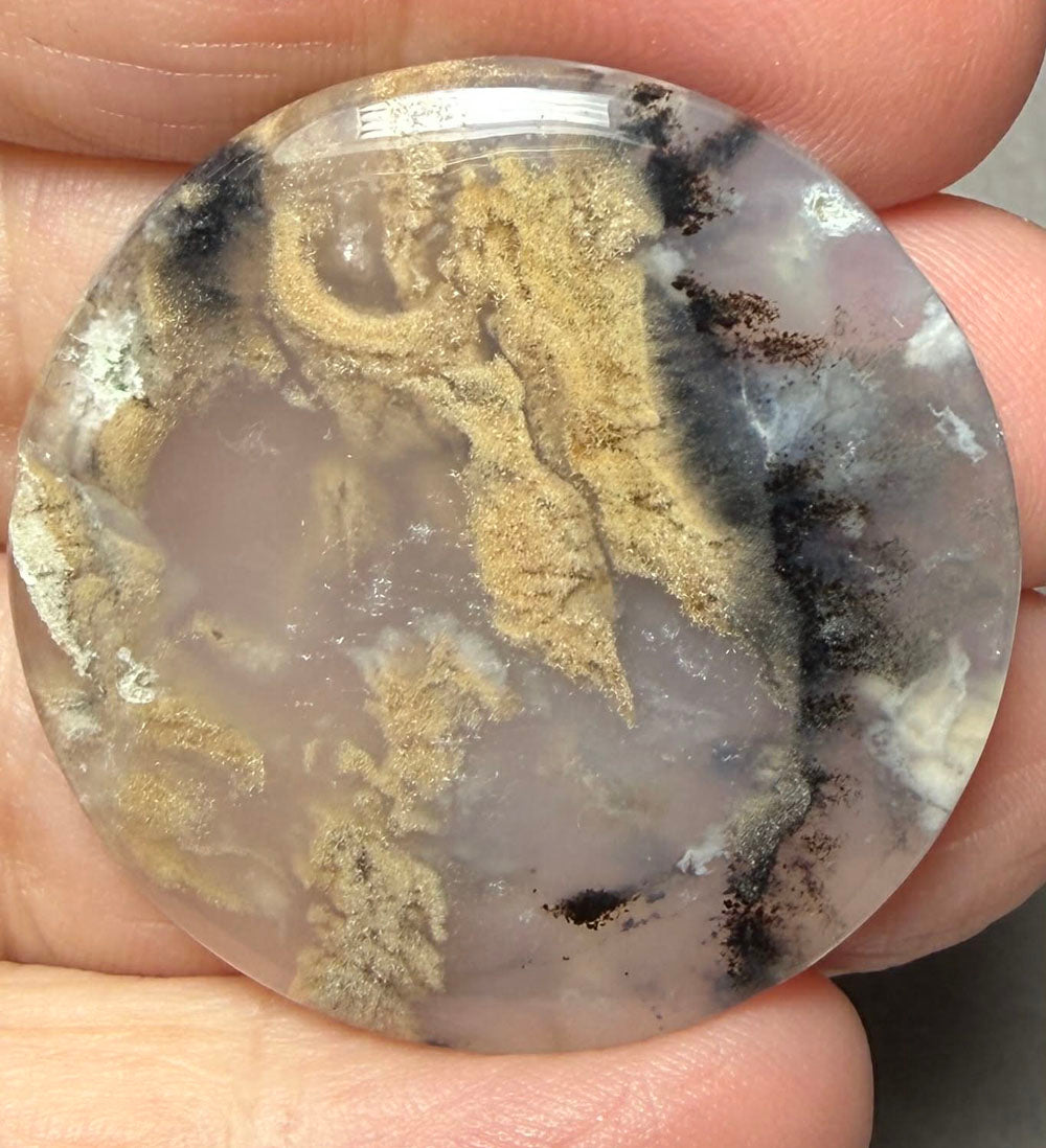 Round 35x35mm Dendritic Tiger Agate Cabochon 45