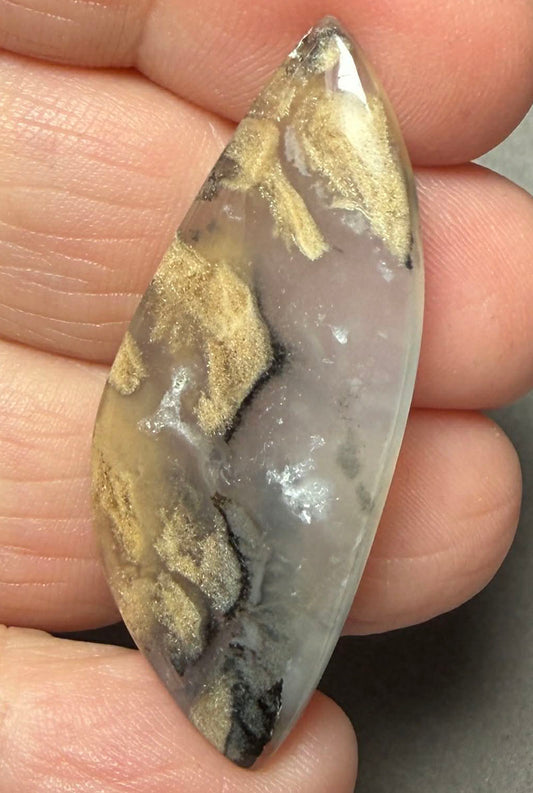Freeform 43x18mm Dendritic Tiger Agate Cabochon 50