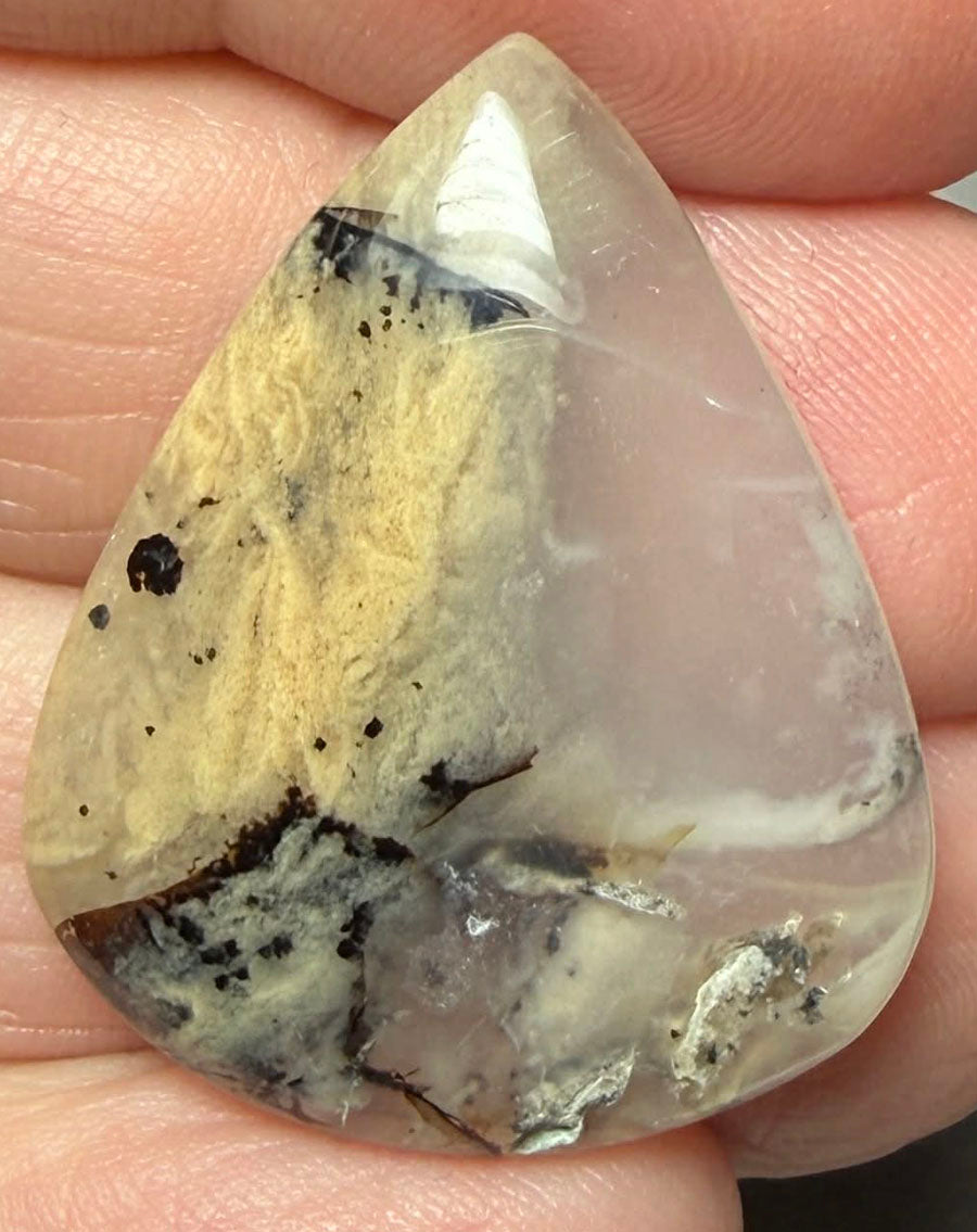 Teardrop 30x24mm Dendritic Tiger Agate Cabochon 51