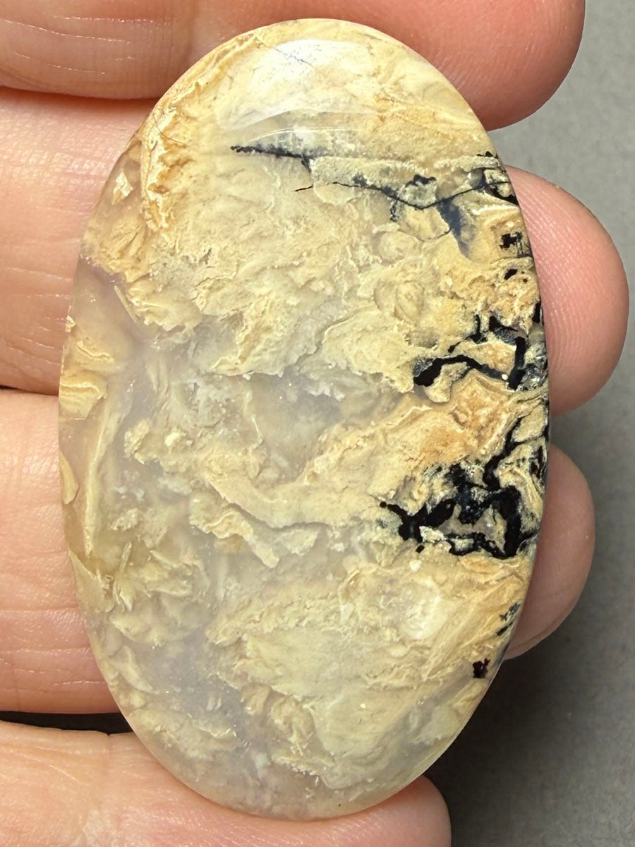 Oval 48x29mm Dendritic Tiger Agate Cabochon 52