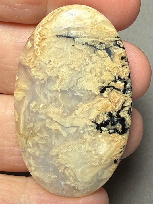 Oval 48x29mm Dendritic Tiger Agate Cabochon 52