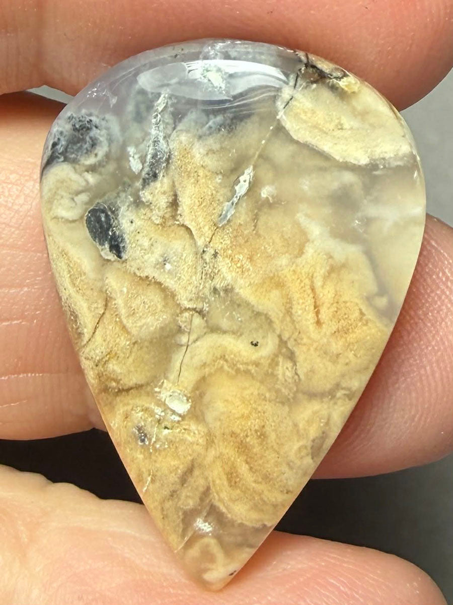 Teardrop 30x20mm Dendritic Tiger Agate Cabochon 54