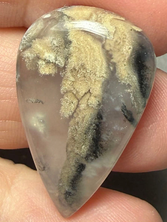 Teardrop 30x19mm Dendritic Tiger Agate Cabochon 57