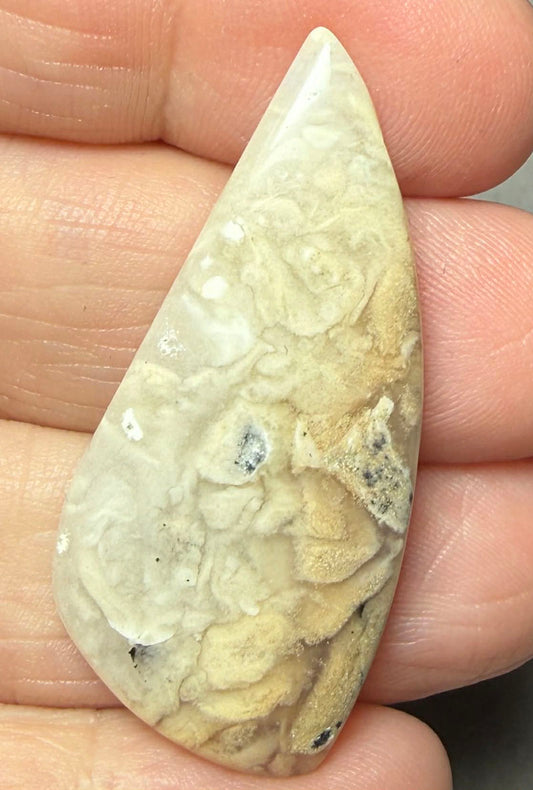 Freeform 44x20mm Dendritic Tiger Agate Cabochon 63