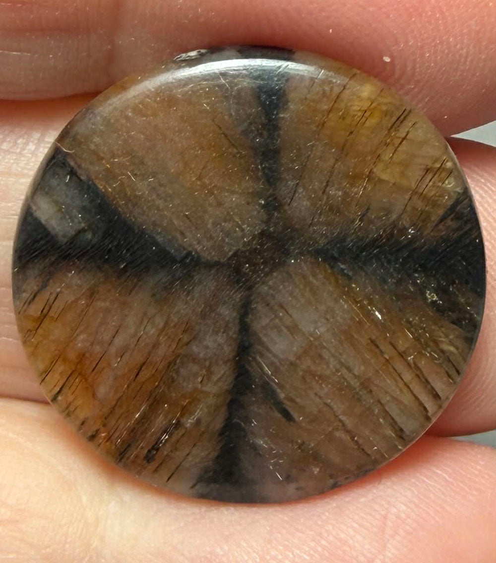 Round 24x24mm Chiastolite Cabochon 16