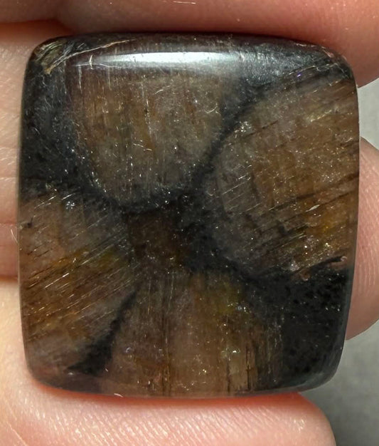 Rectangle 23x21mm Chiastolite Cabochon 19